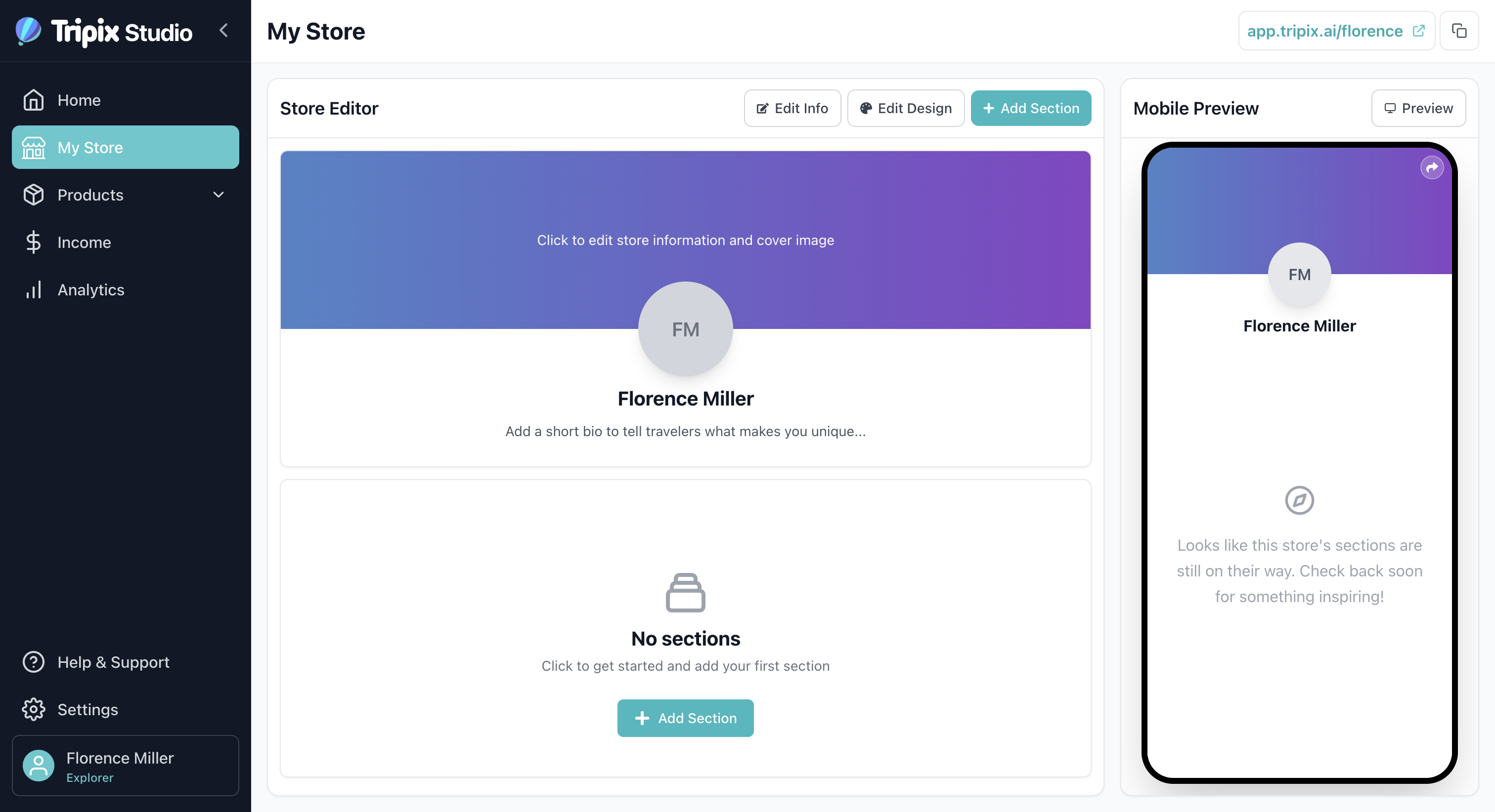 Default store page with Store Editor and Mobile Preview