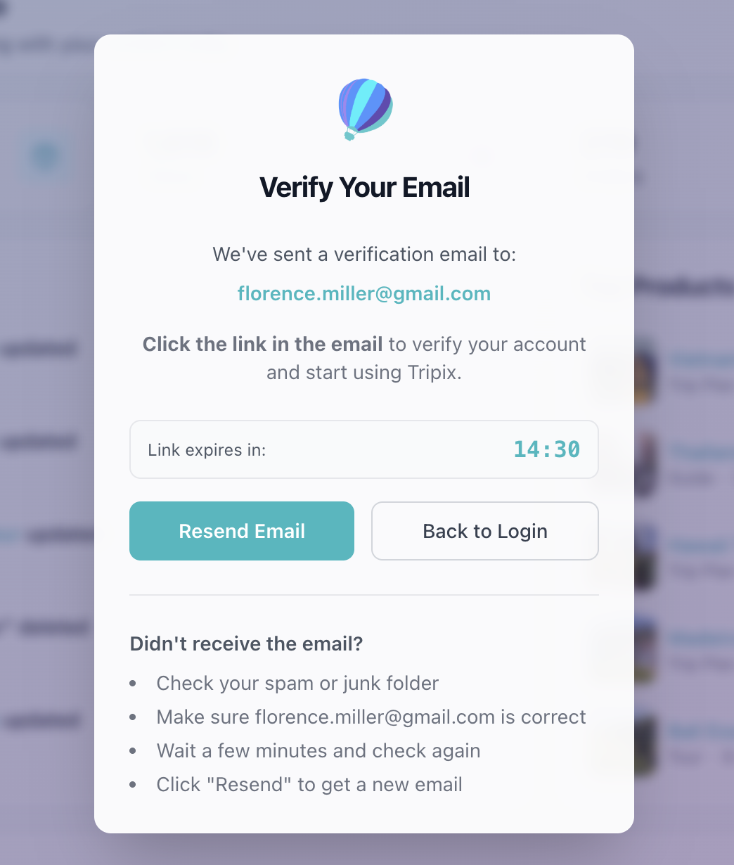 Email verification screen
